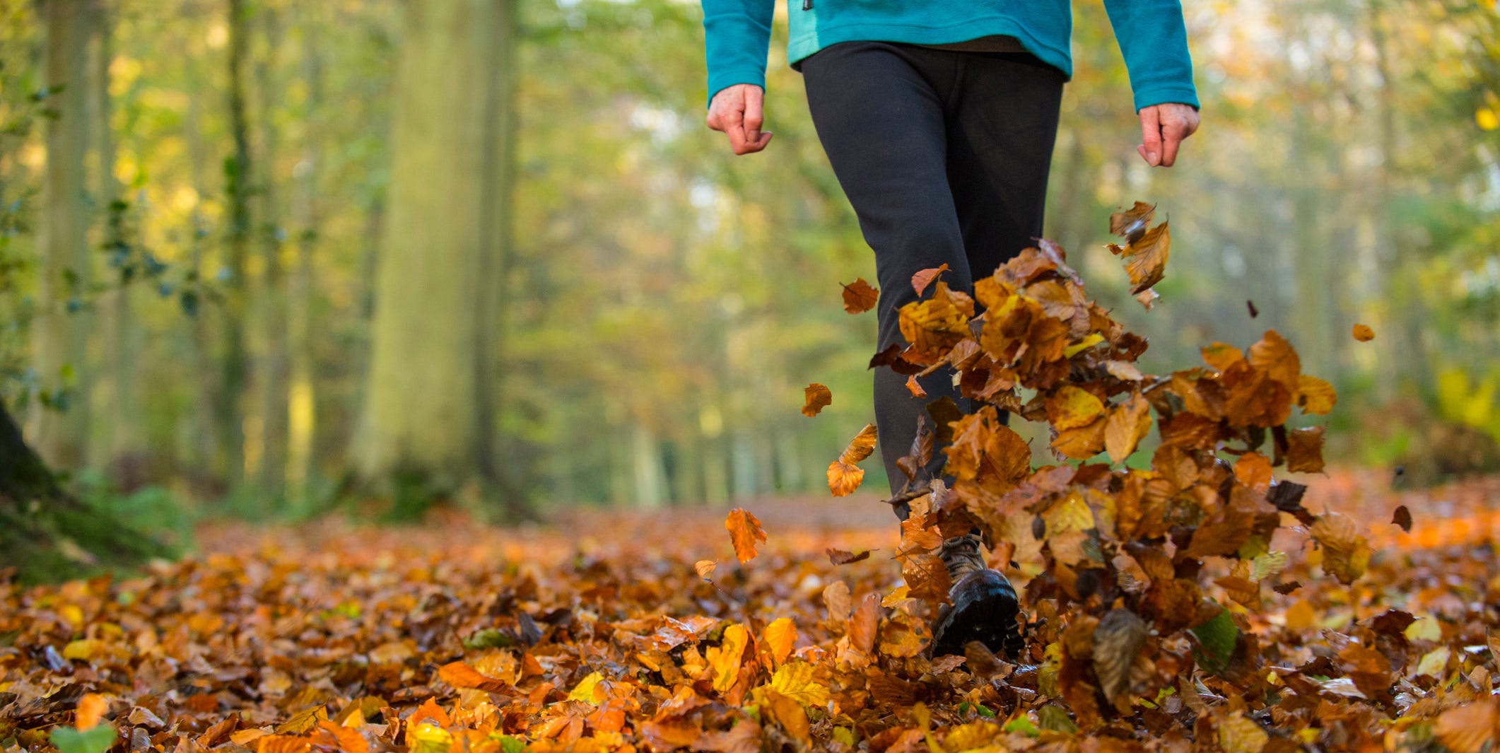 Everything You Need to Know About Our October 2023 Walk for Wellness